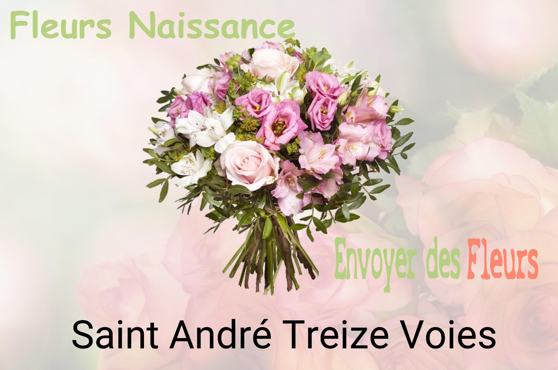 Bouquet de fleurs de naissance livré à Saint-André-Treize-Voies